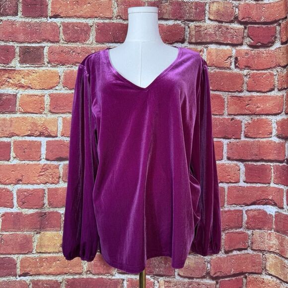 LOFT Women's Purple Velour Long Sleeve‎ V Neck Stretch Size XL NWT $55 - Picture 1 of 12